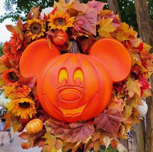 Meet your Posher, Karla